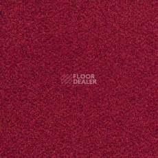 Ковролин Desso Torso B 4301 фото 1 | FLOORDEALER