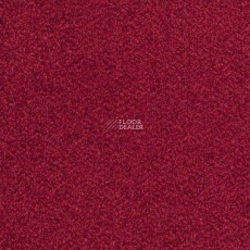 Desso Torso B 4301 фото 1 | FLOORDEALER