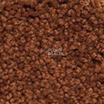 Ковролин Girloon Body1 761 фото 1 | FLOORDEALER