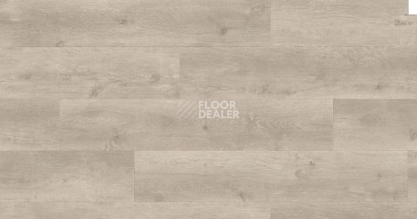 Ламинат Haro Tritty 100 Gran Via 4V ДУБ БЕРГАМО СЕРЕБРЯНО-СЕРЫЙ 541513 фото 1 | FLOORDEALER