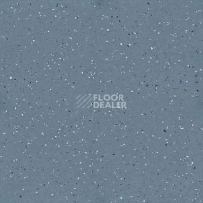 Линолеум Tarkett iQ Lyra 508 фото 1 | FLOORDEALER