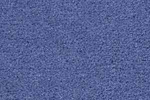 Ковролин Radici Montecarlo 98 фото  | FLOORDEALER