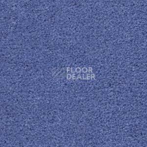 Ковролин Radici Montecarlo 98 фото 1 | FLOORDEALER