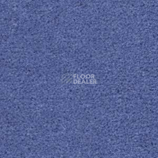 Ковролин Radici Montecarlo 98 фото 1 | FLOORDEALER