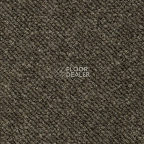 Ковролин Creatuft Luna 4 Greige фото 1 | FLOORDEALER