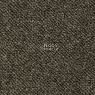 Ковролин Creatuft Luna 4 Greige фото 1 | FLOORDEALER