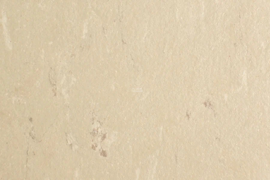 Forbo Marmoleum Solid Piano 3630-363035 angora фото 2 | FLOORDEALER