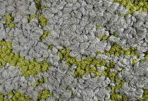 ColorKey ColorKey c 02 фото 2 | FLOORDEALER