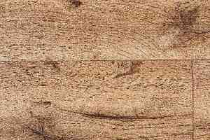 Линолеум Novoflor Standard 3330_2 фото  | FLOORDEALER