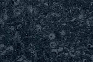 Линолеум Grabo Fortis Fitt Nox фото  | FLOORDEALER