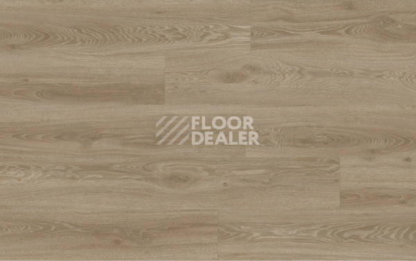 Кварцвиниловые полы Moduleo Next Acoustic дерево VISTA OAK 450 BO фото 4 | FLOORDEALER