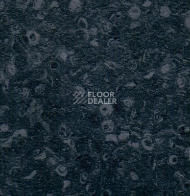 Линолеум Grabo Fortis Fitt Nox фото 1 | FLOORDEALER