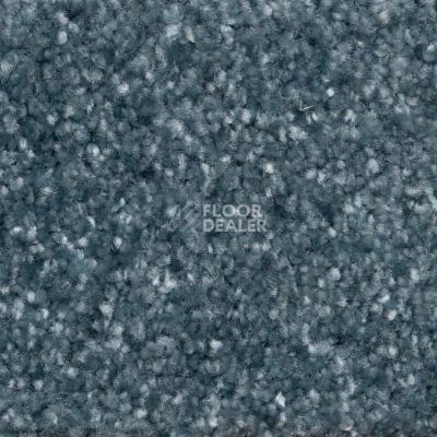 Ковролин AW Masquerade Certosa 72 фото 1 | FLOORDEALER