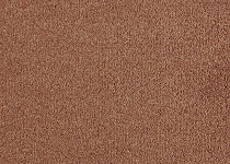 Lano Patina 330 Apricot фото 1 | FLOORDEALER