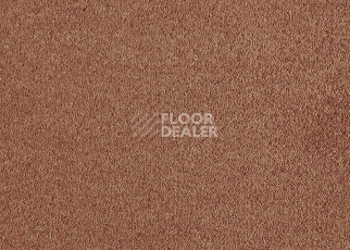 Ковролин Lano Patina 330 Apricot фото 1 | FLOORDEALER