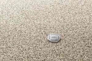 Ковролин Vorwerk Essential 1074/Parma Vorwerk 8h02 фото  | FLOORDEALER