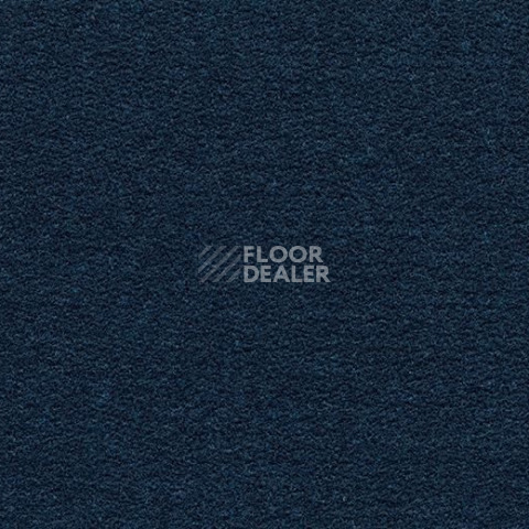 Ковролин Forbo Flotex wonderlab 07 900277 Indigo фото 1 | FLOORDEALER