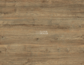 Kronotex Exquisit Plus d40422 Дуб Бодега Коричневый фото 1 | FLOORDEALER