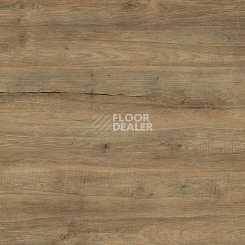 Ламинат Kronotex Exquisit Plus d40422 Дуб Бодега Коричневый фото 1 | FLOORDEALER