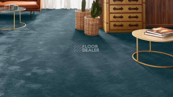 Vorwerk Exclusive 1060 Safira 3m92 фото 2 | FLOORDEALER