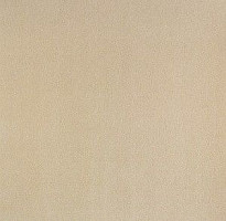 Ковролин Big Nobless 303 фото 1 | FLOORDEALER