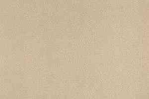 Ковролин Big Nobless 303 фото  | FLOORDEALER