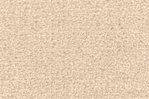 Ковролин Radici Montecarlo 36 фото  | FLOORDEALER