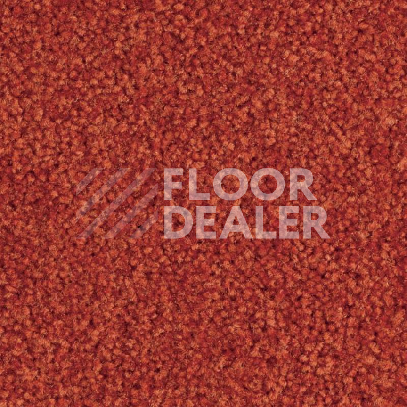 Ковровая плитка Balsan Bolero 485 фото 1 | FLOORDEALER