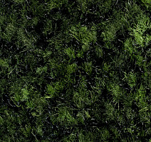 Forbo Coral Brush 5708 Avocado Green фото 2 | FLOORDEALER