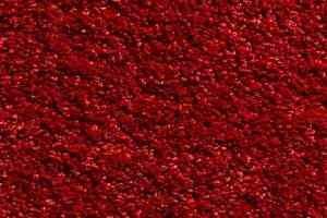 Ковролин Condor Princess 12 фото  | FLOORDEALER