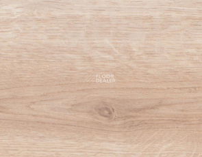 Rooms Suite 191 / 8мм Дуб Луксор золотистый RV822A фото 2 | FLOORDEALER