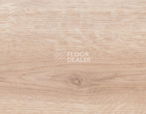 Rooms Suite 191 / 8мм Дуб Луксор золотистый RV822A фото 2 | FLOORDEALER