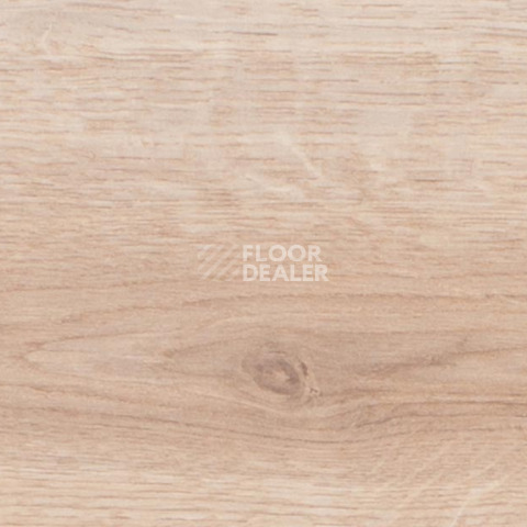 Rooms Suite 191 / 8мм Дуб Луксор золотистый RV822A фото 2 | FLOORDEALER