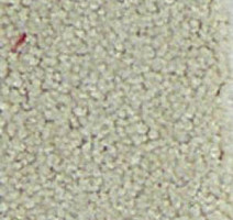 Ковролин Infloor Chiffon 820 фото 1 | FLOORDEALER