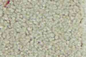 Ковролин Infloor Chiffon 820 фото  | FLOORDEALER