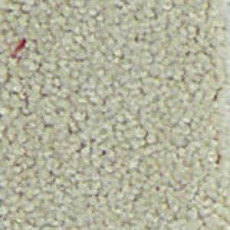 Ковролин Infloor Chiffon 820 фото 1 | FLOORDEALER