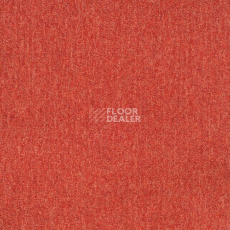 Ковровая плитка Sintelon Sky 77582 фото 1 | FLOORDEALER