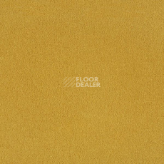 Ковровая плитка Interface Palette 2000 Nugget фото 1 | FLOORDEALER