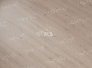 Norland Sigrid  LVT 2мм Alante 1003-5 фото 3 | FLOORDEALER