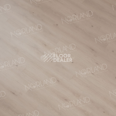 Norland Sigrid  LVT 2мм Alante 1003-5 фото 3 | FLOORDEALER