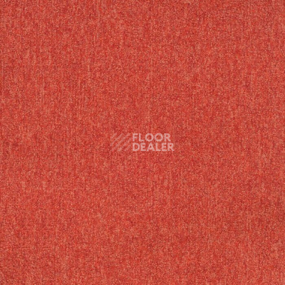 Ковровая плитка Sintelon Sky 77582 фото 1 | FLOORDEALER