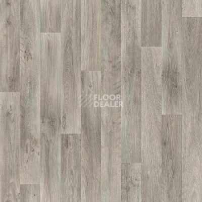 Линолеум Tarkett Sprint Pro Emilio 1 фото 1 | FLOORDEALER