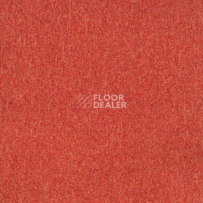 Ковровая плитка Sintelon Sky 77582 фото 1 | FLOORDEALER