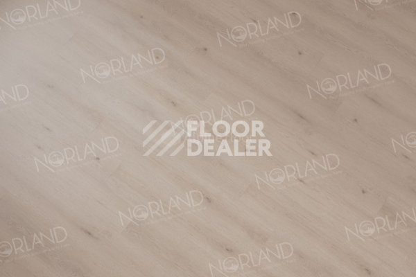 Виниловая плитка ПВХ Norland Sigrid 2мм Alante 1003-5 фото 2 | FLOORDEALER