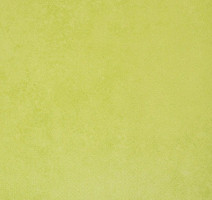 Линолеум Forbo Emerald Standart 72413 фото 1 | FLOORDEALER