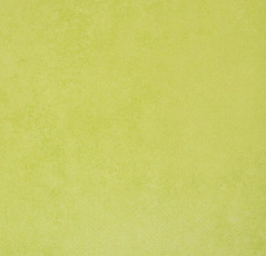 Линолеум Forbo Emerald Standart 72413 фото 1 | FLOORDEALER