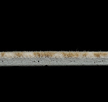 Flotex Colour s 246012 Metro Sand фото 4 | FLOORDEALER