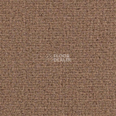 Ковролин Balsan Residentiel 761 фото 1 | FLOORDEALER