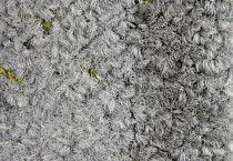 Ковровая плитка ColorKey ColorKey a 02 фото 1 | FLOORDEALER