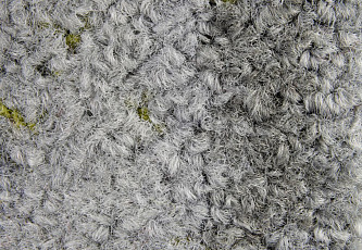 Ковровая плитка ColorKey ColorKey a 02 фото 1 | FLOORDEALER